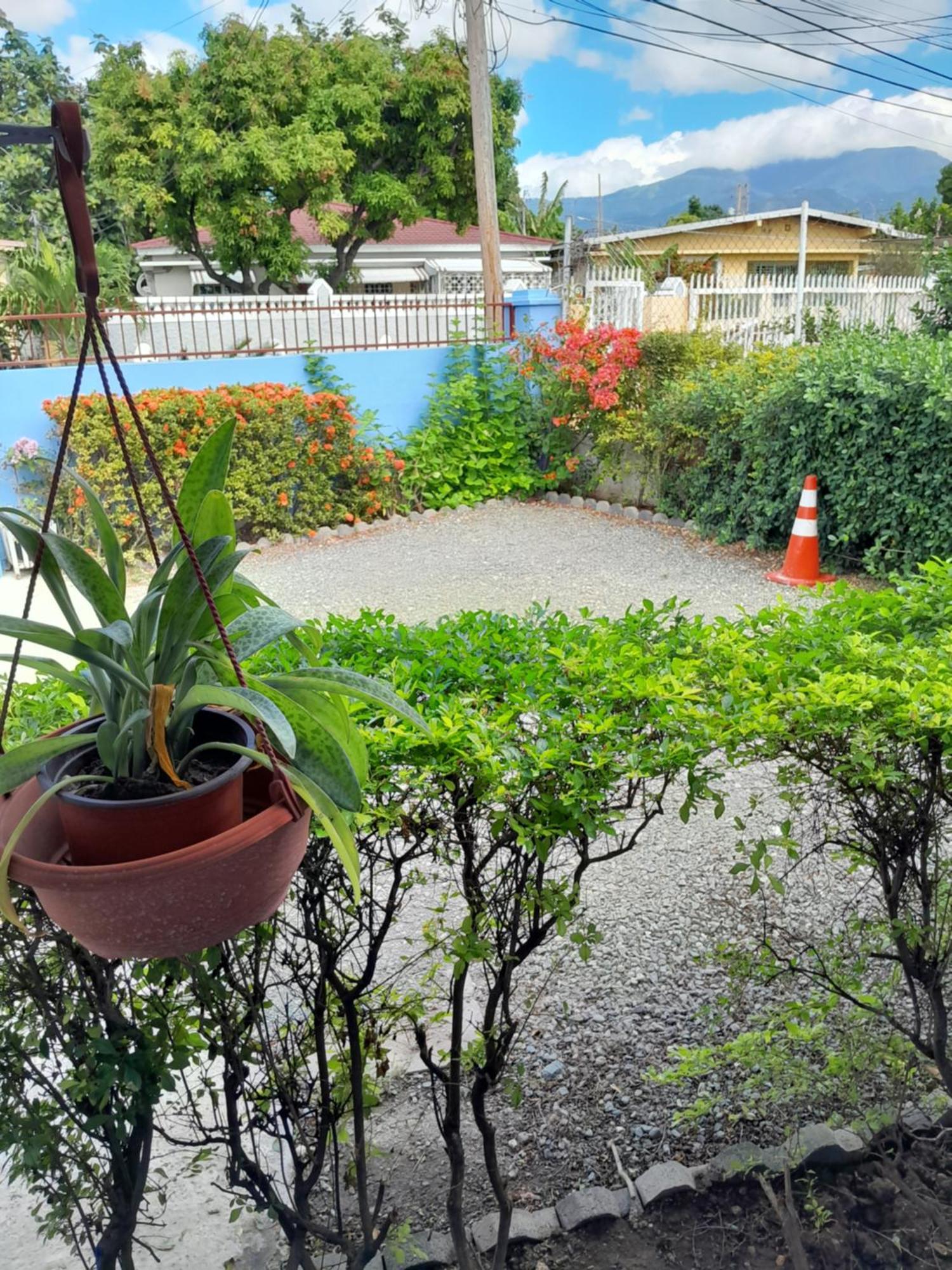 Granann'S Place Kingston Bagian luar foto